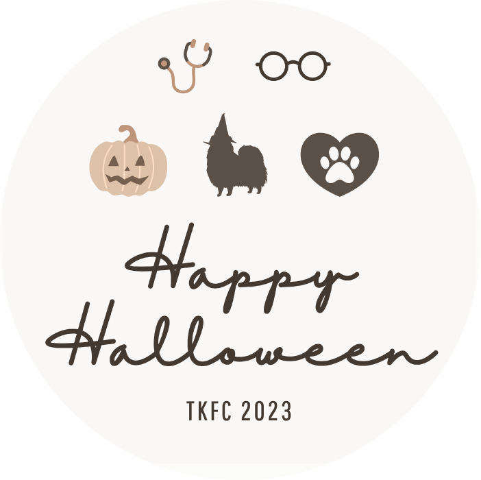 【TKFC会員&期間限定】武田航平 2023 ハロウィングッズセット【10/18 23:59まで!】